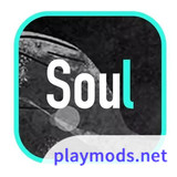 Soul<span>(Chinese Version)</span>4.72.0_rowtechapk.com