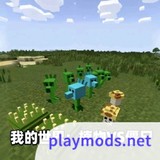 Minecraft<span>(Plants vs. Zombies)</span>v1.16.5（叶空整合）_rowtechapk.com