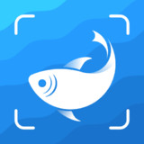 Picture Fish - Fish Identifier2.4.12_rowtechapk.com