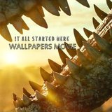 4K Wallpapers Movie HD19.2_rowtechapk.com