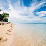 800 words3.1_rowtechapk.com