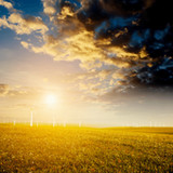 Farm Sounds Ringtone3.5_rowtechapk.com