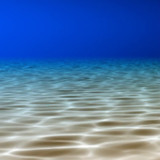 Under the Sea Live Wallpaper1.5_rowtechapk.com