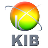 KIB Credit Cards Services1.7_rowtechapk.com