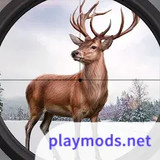 Animal Hunter Shooting Games<span>(Unlimited Resources)</span>1.1.20_rowtechapk.com