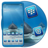 Shark Launcher Theme1.1_rowtechapk.com