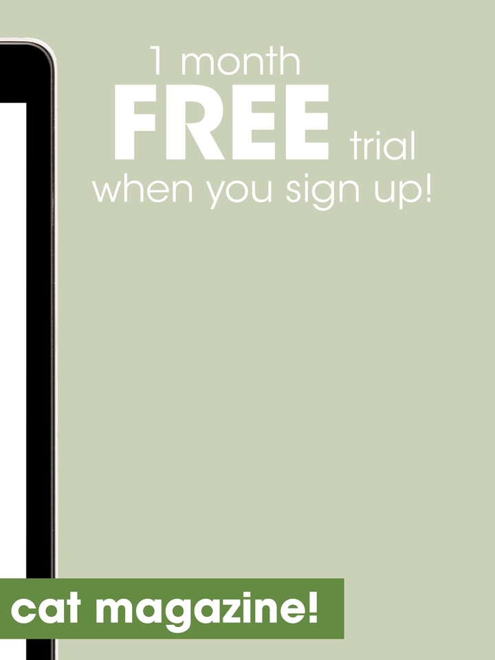 Your Cat Magazine screenshot image 8_Popularmodapk.com