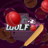 Wolf777 VIP2.1.1_rowtechapk.com