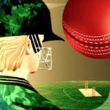 Cricket Fly - Sports Gamev1.3.54.G_rowtechapk.com
