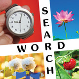10x10 Word Search1.0.4_rowtechapk.com