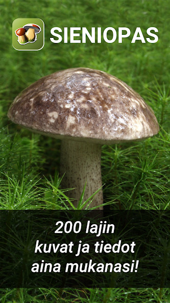 Obrafit - Gestão de obras screenshot image 1_Popularmodapk.com