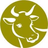 Bhumika - ARMS6.1.2_rowtechapk.com