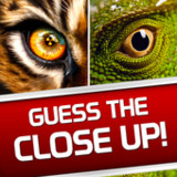 Guess the Close Up Pics Quiz1.0.1_rowtechapk.com