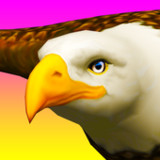 Eagle Ride1.0.7_rowtechapk.com