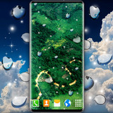 Falling Rain Live Wallpaper6.9.7_rowtechapk.com