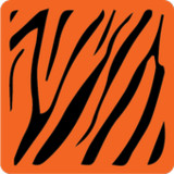 MyBL (My Banglalink)10.3.0_rowtechapk.com