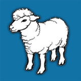 ذبائح مكة2.2_rowtechapk.com