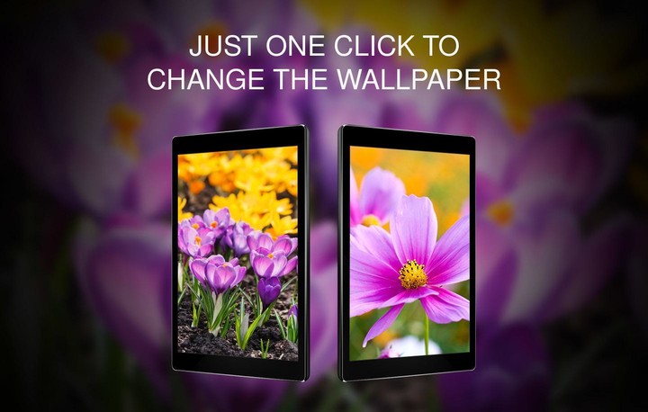 BMX Space<span>(Unlimited money)</span> screenshot image 12_Popularmodapk.com