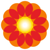 Rompetrol Go6.1.7_rowtechapk.com