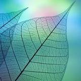 780 words7.1_rowtechapk.com