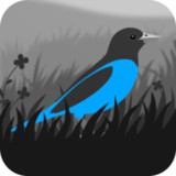 Grayland Premium(Unlock all levels)1.9.35.00011_rowtechapk.com