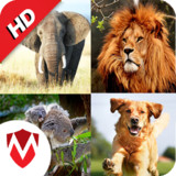 150 Animal Sounds345.0_rowtechapk.com