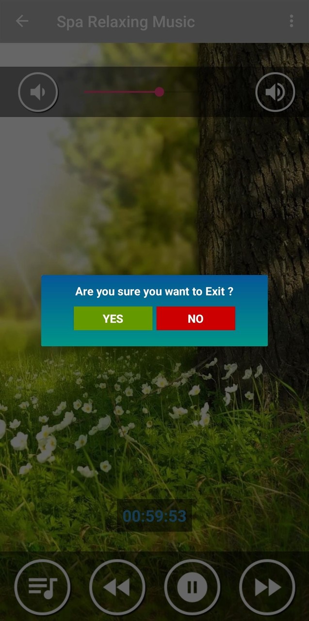 Music for Spa : Relaxing Spa screenshot image 6_Popularmodapk.com