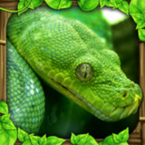 Snake Simulator(all contents for free)1.5_rowtechapk.com
