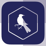 SF - Tottenham Edition4.1.1_rowtechapk.com