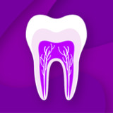 PULP NEET MDS NExT Prep App1.3.783_rowtechapk.com