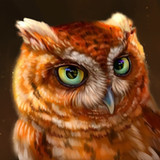 The Owl1.1.3_rowtechapk.com