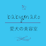 愛犬の美容室babymaro2.16.0_rowtechapk.com