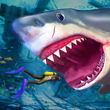 Shark Games 20221.0.11_rowtechapk.com