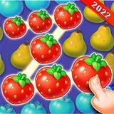 Daily Bubble  Fruits1.0_rowtechapk.com