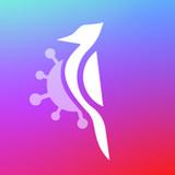 Woodpecker Immunity1.3_rowtechapk.com