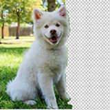 Background  Changer1.0_rowtechapk.com