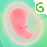 Glow Pregnancy & Baby Tracker5.5.11_rowtechapk.com
