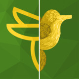 Picturize it - Making art1.0.11_rowtechapk.com