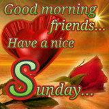 Happy Sunday: Greetings, GIF Wishes, Text Quotes2.0.50_rowtechapk.com