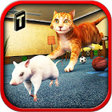 Angry Cat Vs. Mouse 2016<span>(Unlimited money)</span>1.2_rowtechapk.com
