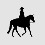 der Ausreitbegleiter1.5.6_rowtechapk.com