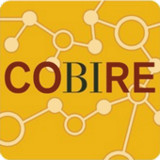 COBIRE4.107.2_rowtechapk.com