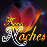 Good Night in Spanish5.6.0_rowtechapk.com