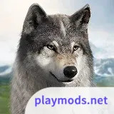 Wolf Game: Wild Animal Wars<span>(Speed change)</span>1.0.35_rowtechapk.com