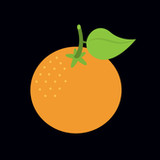 Orange VPN | VPN Proxy1.0.33_rowtechapk.com
