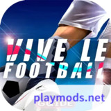 Vive le Football<span>(Unlimited Money)</span>2.1.0_rowtechapk.com