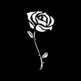 Jogador Caro1.1-jogadorcaro_rowtechapk.com