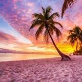 Beach Wallpaper1.0.3_rowtechapk.com