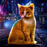 Stray Cat Game City Simulator1.8_rowtechapk.com