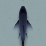 CAT ALONE 2 - Cat Toy<span>(Unlock levels)</span>6.0.0_rowtechapk.com